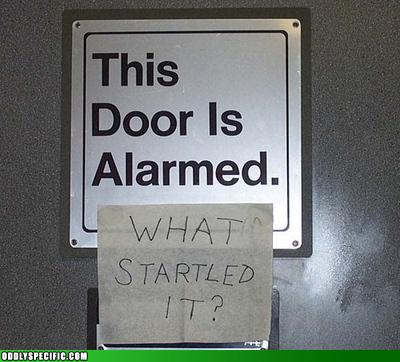 Startled Door