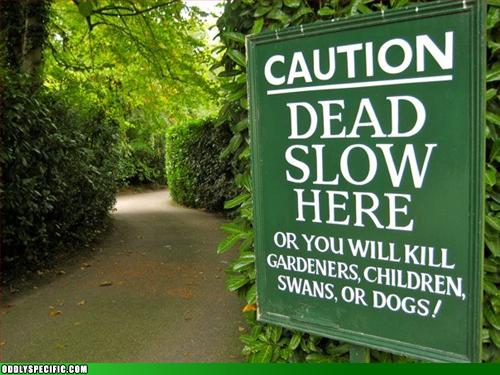 Funny Signs - Won't Someone Think of the Swans?!
